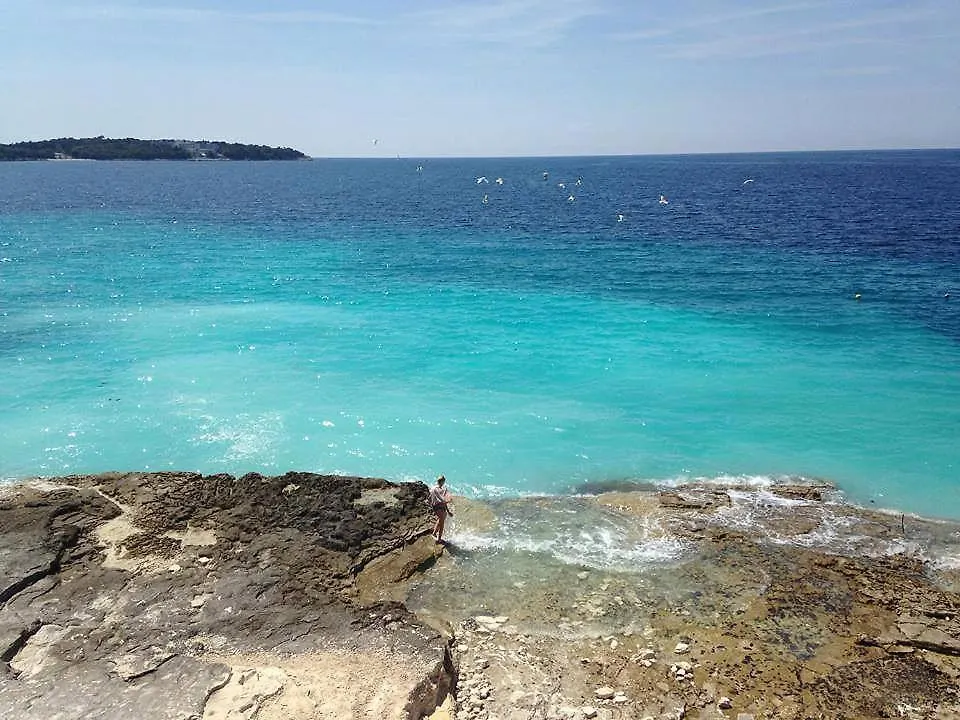 Apartment Villa Valkane Pet Friendly 150M From The Stunning Valkane Beach, City Indoor Pools-Fitness And City Mall Pula
